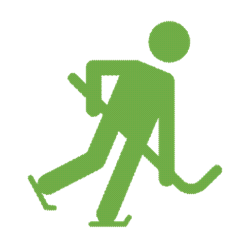 Ice hockey